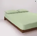 Screenshot 2025-01-31 024532.webp